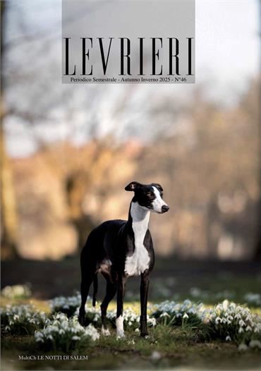 Autunno Inverno 2025